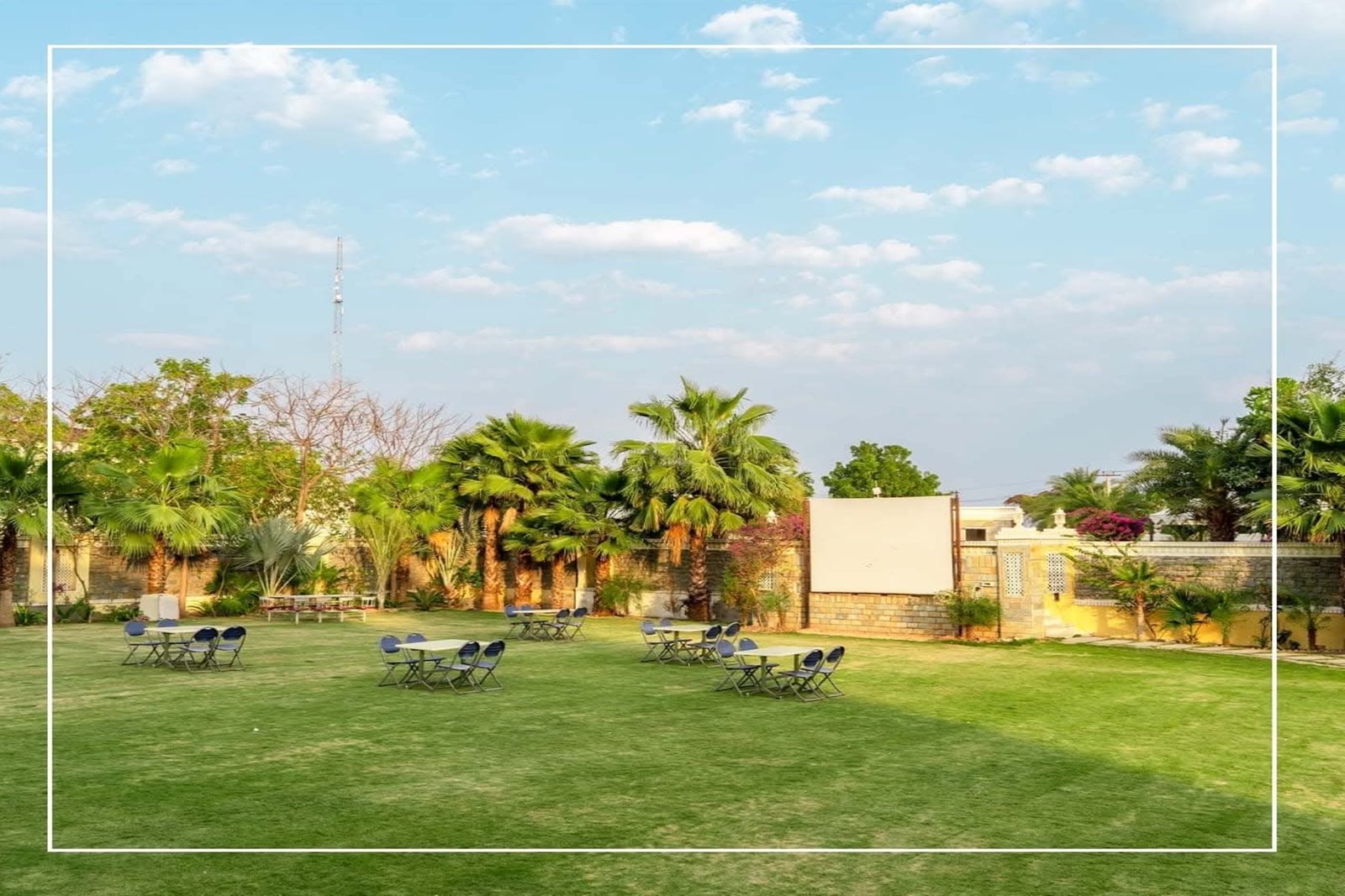 Wedding Celebration 3